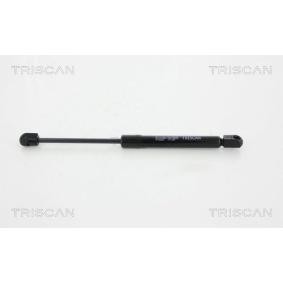 Compre Maletero de TRISCAN online para 407 Coupé (6C_) a precios moderados