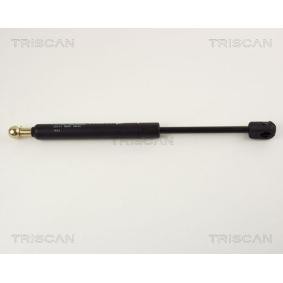 Heckklappendämpfer von TRISCAN