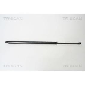 Heckklappendämpfer von TRISCAN