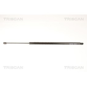 Heckklappendämpfer von TRISCAN