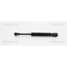 Heckklappendämpfer von TRISCAN