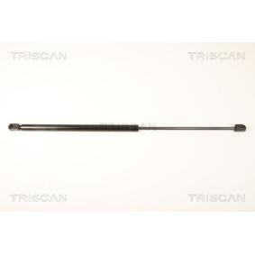 Motorhaubendämpfer für CITROËN von TRISCAN