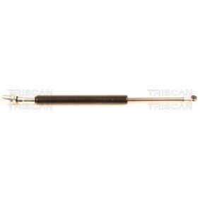 Köp Gasfjäder, bakruta av TRISCAN 8710 38217 till det låga priset 872,39 kr