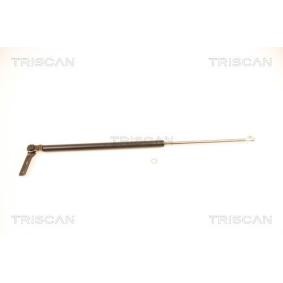 Compre Maletero de TRISCAN online para ACCORD V Aerodeck (CE) a precios moderados