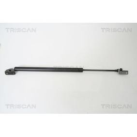 Kofferraum von TRISCAN für L 300 III Pritsche / Fahrgestell (P1_T ) günstig online kaufen