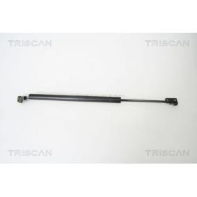 Kofferraum von TRISCAN für L 300 III Pritsche / Fahrgestell (P1_T ) günstig online kaufen