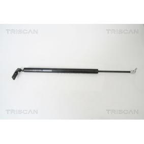 Kofferraum von TRISCAN für L 400 Bus (PD_W, PC_W, PA_V, PB_V, PA_W) günstig online kaufen