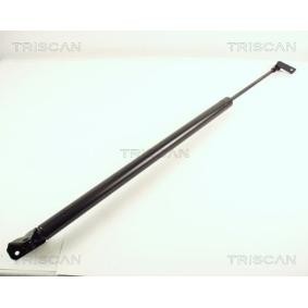 Heckklappendämpfer von TRISCAN
