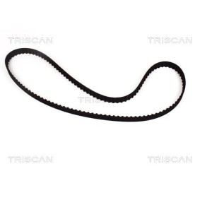 Federpaket von TRISCAN