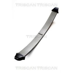 Federpaket von TRISCAN