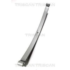 Federpaket von TRISCAN