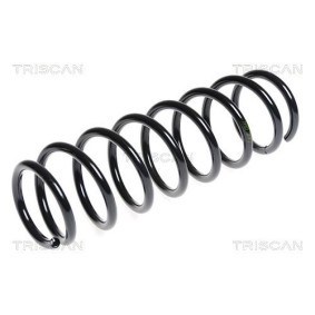 Federpaket von TRISCAN