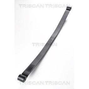 Federpaket von TRISCAN