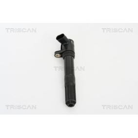 Zündspule für IVECO von TRISCAN