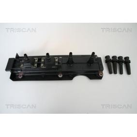 Acquista Bobina d'accensione da TRISCAN 8860 28005 a buon mercato per soli 125,10 €
