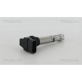 Zündspule von TRISCAN
