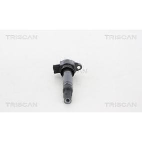 Zündspule von TRISCAN