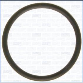 Dichtung, Thermostat 00538200