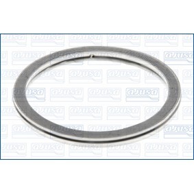 Dichtring, Abgasrohr 19002500