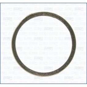 Dichtring, Abgasrohr 19002600