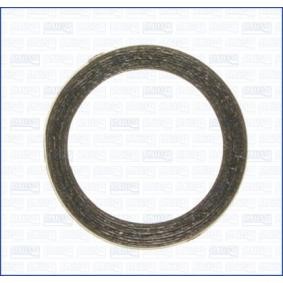 Dichtring, Abgasrohr 19003100