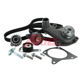 Achetez des Kit de distribution + pompe à eau AIRTEX WPK-141501 à prix pour 193,14 €