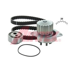 Achetez des Kit de distribution + pompe à eau AIRTEX WPK-141901 à prix pour 75,62 €