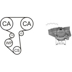 Acquista Kit cinghia distribuzione, pompa acqua da AIRTEX WPK-156301 a buon mercato per soli 89,63 €