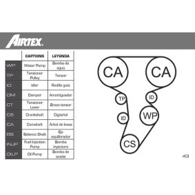 Achetez des Kit de distribution + pompe à eau AIRTEX WPK-177405 à prix pour 157,50 €