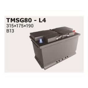 Batterie TMSG80 von IPSA günstig für 144,23 € online kaufen