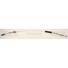 Acquista Cavo cambio da TRISCAN online per 407 SW Van / Station Wagon (6E_) a prezzi moderati