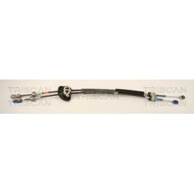 Acquista Cavo cambio da TRISCAN online per 308 SW I Van / Station Wagon (4E_) a prezzi moderati