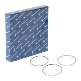 Compre Segmentos do motor de KOLBENSCHMIDT online para Movano Mk II (B) Combi (X62) a preços moderados