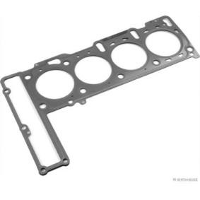 Zylinderkopfdichtung J1250413