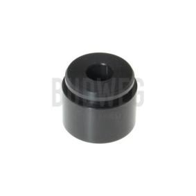Comprar Émbolo, pinza del freno de BUDWEG CALIPER 233862 a bajo precio de 33,08 €