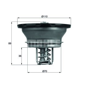 Kühlwasserthermostat von BEHR THERMOT-TRONIK