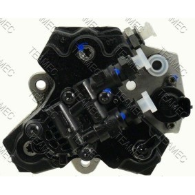 Comprar Bomba inyectora de TEAMEC 874 810 a bajo precio de 365,84 €