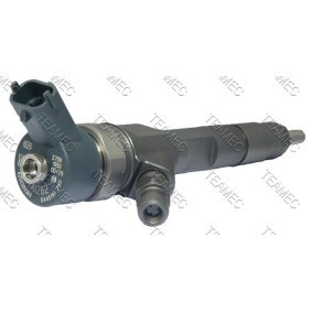 Einspritzdüse 810 144 für VOLVO