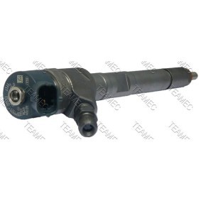 Achetez des Injecteur TEAMEC 810 142 à prix pour 303,45 €