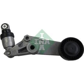 Acquista Braccio tenditore, Cinghia Poly-V da INA 534 0289 10 a buon mercato per soli 42,66 €