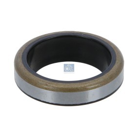 Acquista Paraolio, Cambio manuale da DT Spare Parts 4.20176 a buon mercato per soli 4,00 €