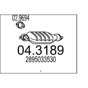 Katalysator 04.3189