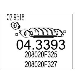 Katalysator 04.3393