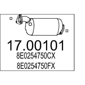 AUDI Partikelfilter (DPF) von MTS