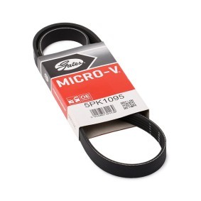 Acquista Cinghia servizi da GATES 5PK1095 a buon mercato per soli 14,95 €