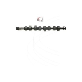 Nockenwelle CP10223