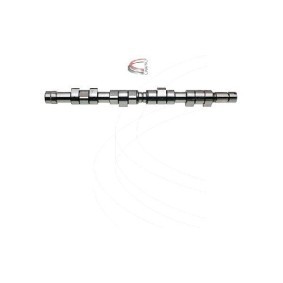 Nockenwelle für RENAULT von CAMPRO