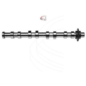 Nockenwelle für CITROËN von CAMPRO