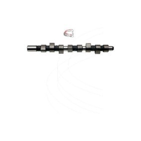 Compre Árvore de cames de CAMPRO online para TALENTO Camião de plataforma/chassis (290) a preços moderados