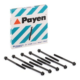 Compre Jogo de parafusos da cabeça do motor da PAYEN HBS369 a um preço baixo por 21,32 €